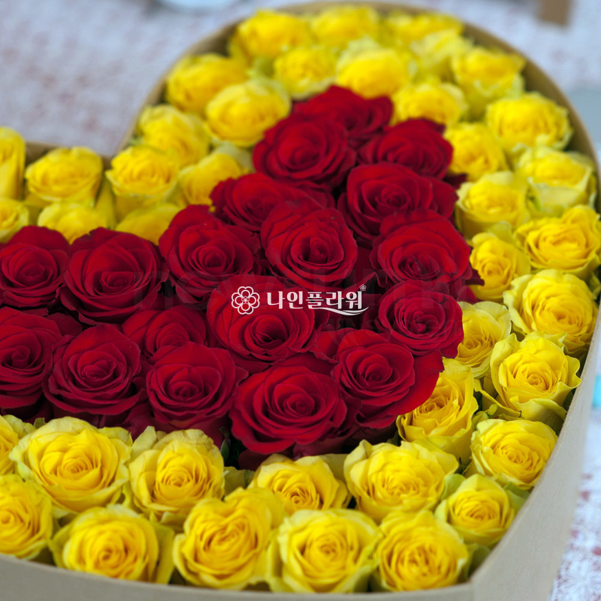 상세이미지