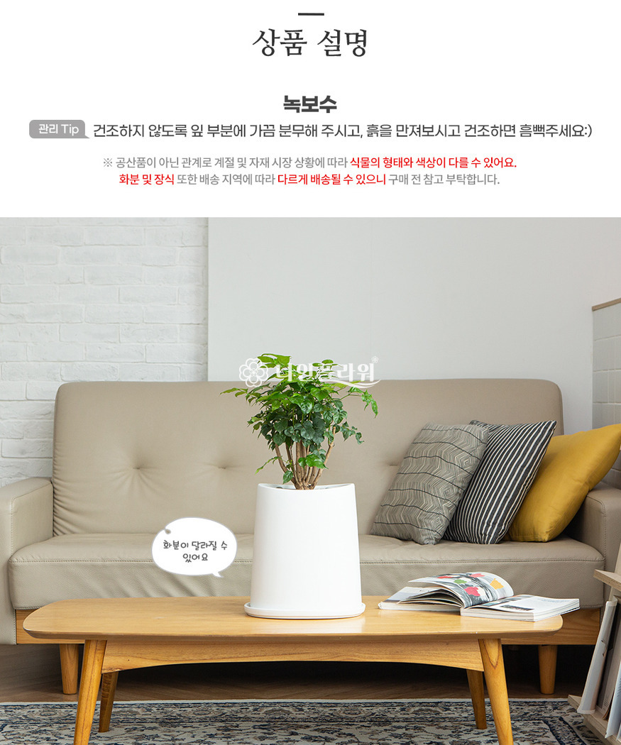 상세이미지