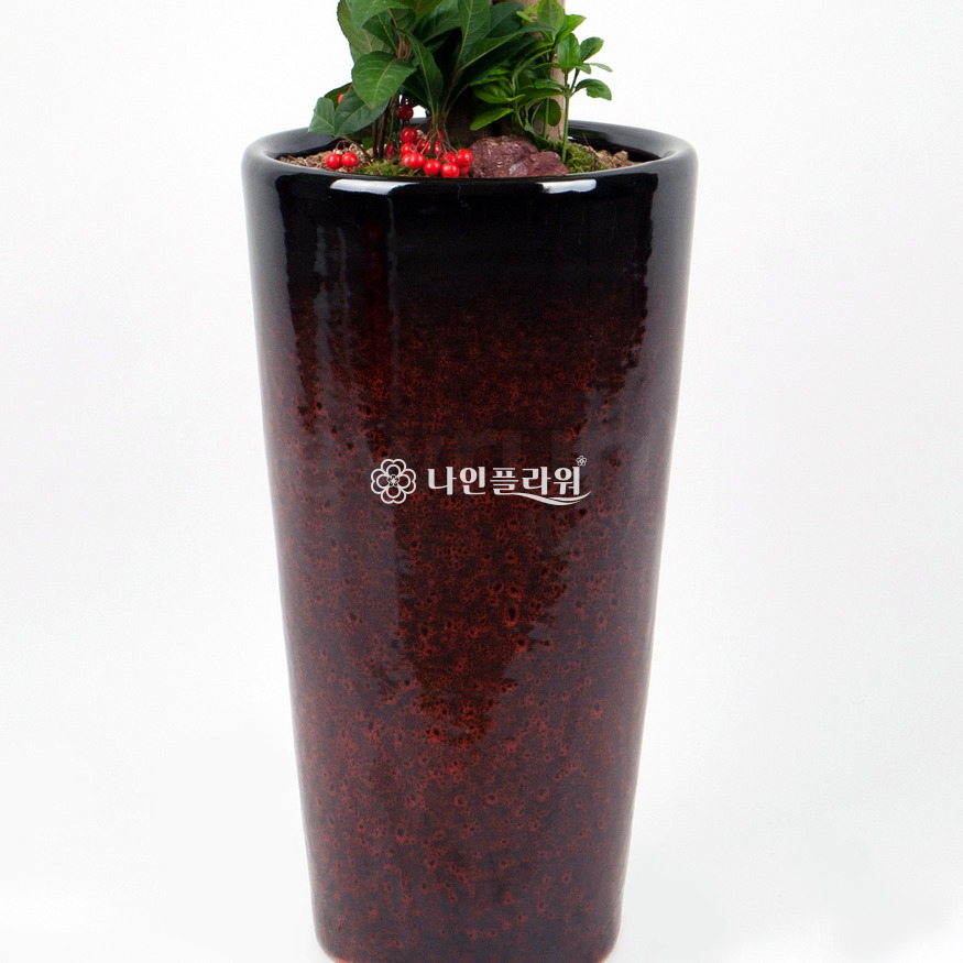 상세이미지