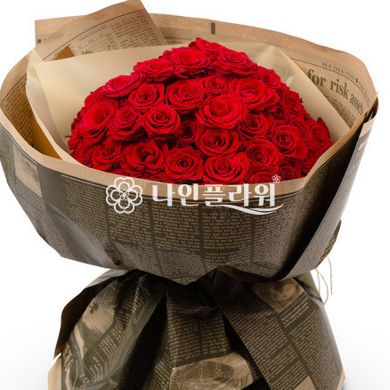 레드홀릭