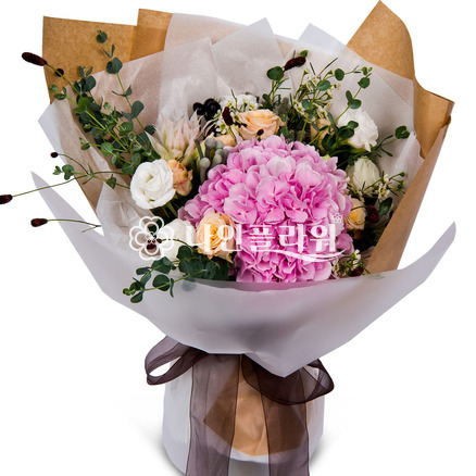 수즙은 설레임