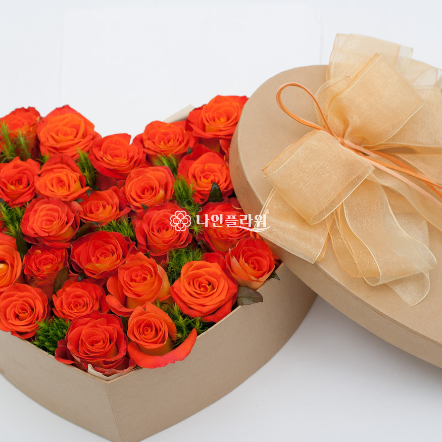 상세이미지