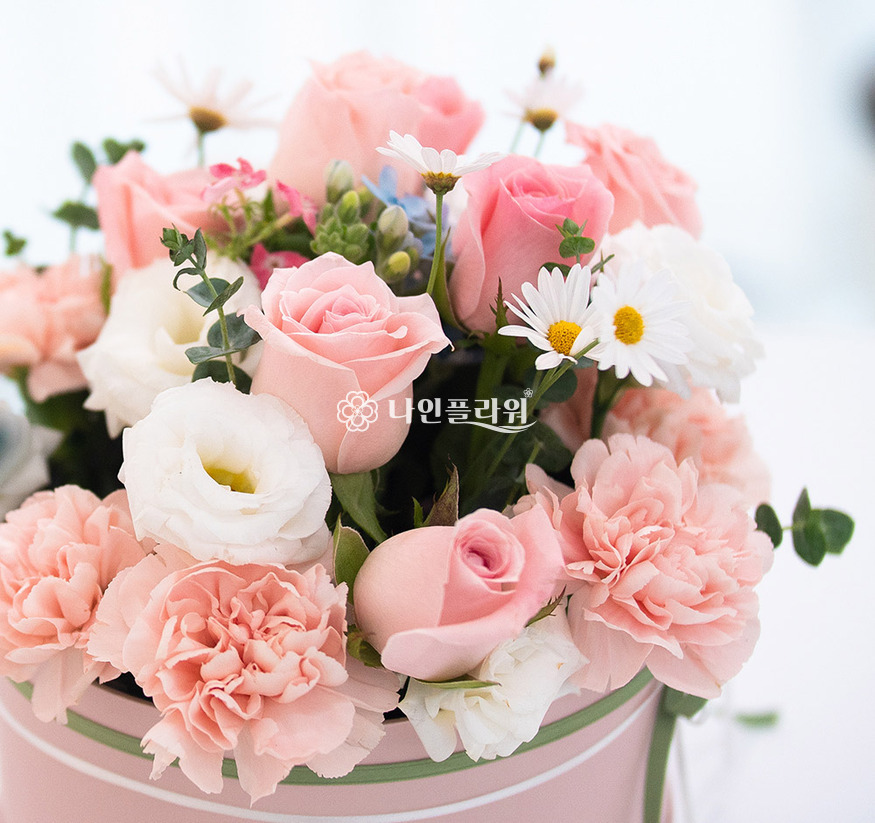 상세이미지