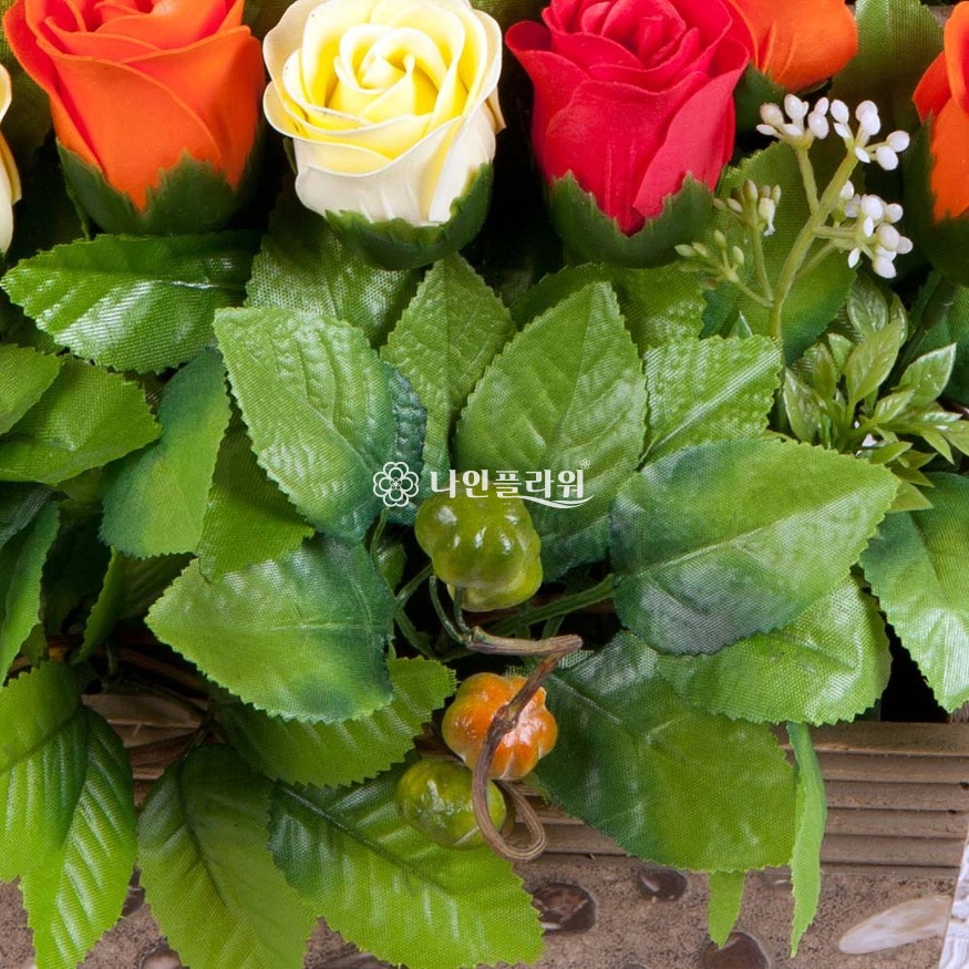 상세이미지