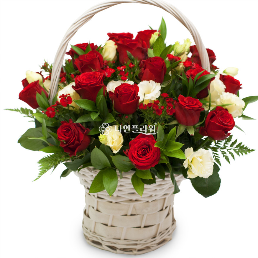 상세이미지