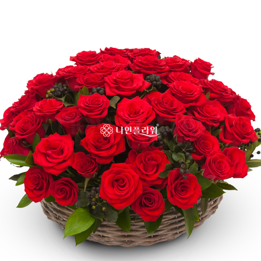 상세이미지