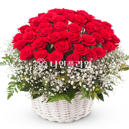 그대만을위한♡