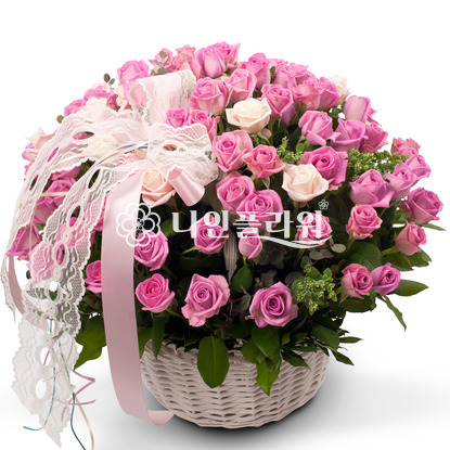 핑크빛사랑♡