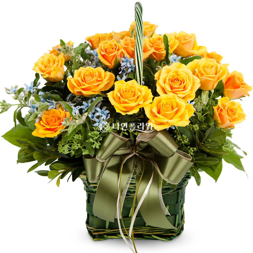 상세이미지