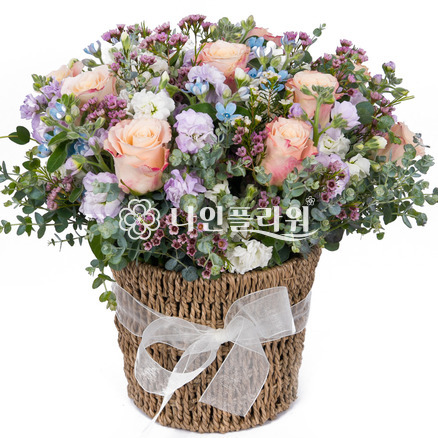 천사의미소