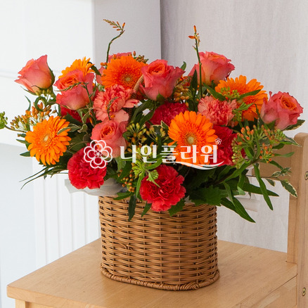 러브 & 로망스
