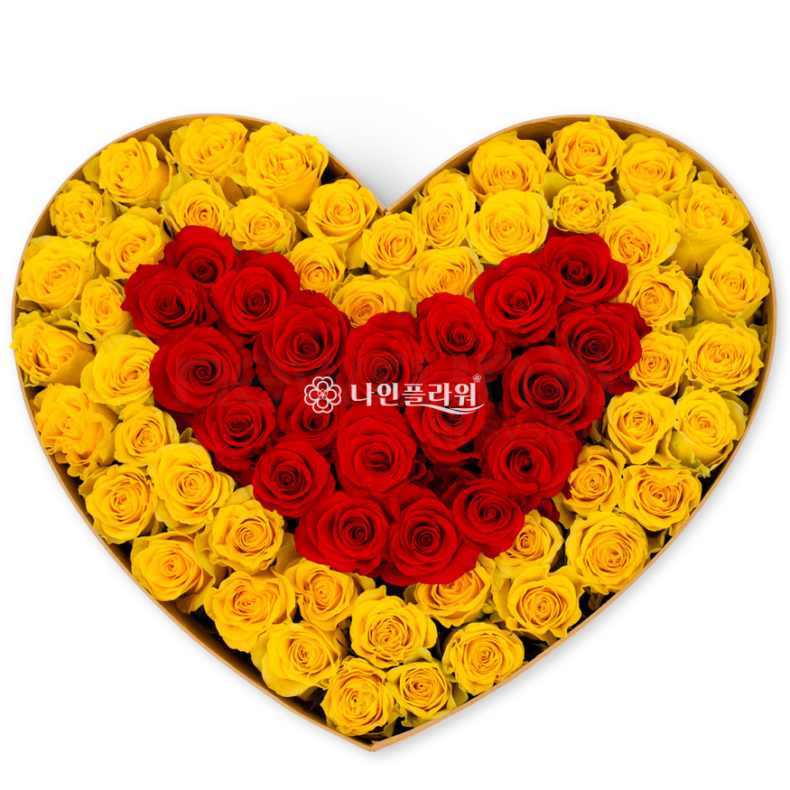 상세이미지