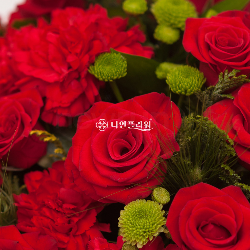 상세이미지