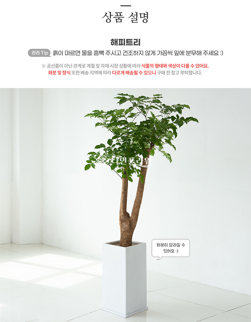 상세이미지