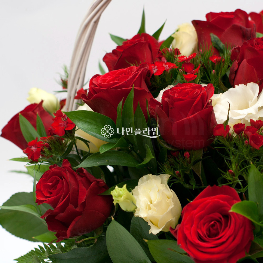 상세이미지