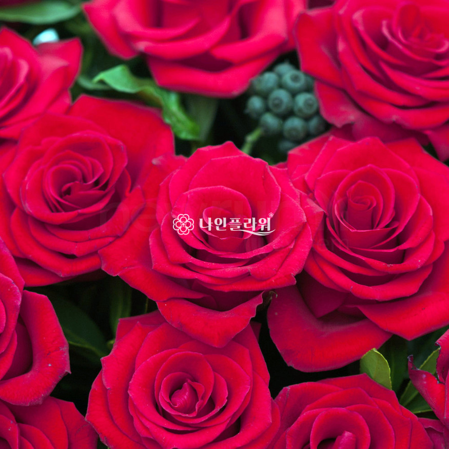 상세이미지