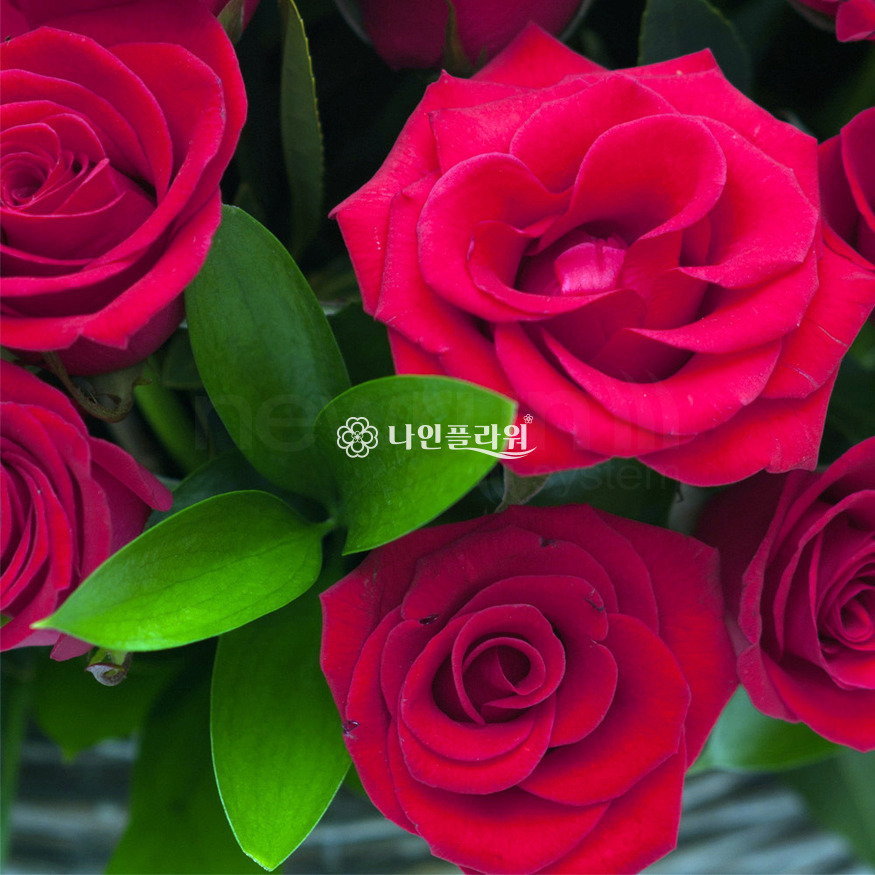 상세이미지