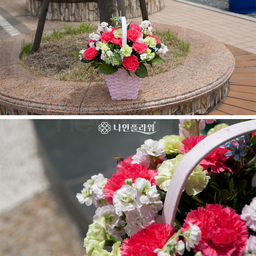 상세이미지