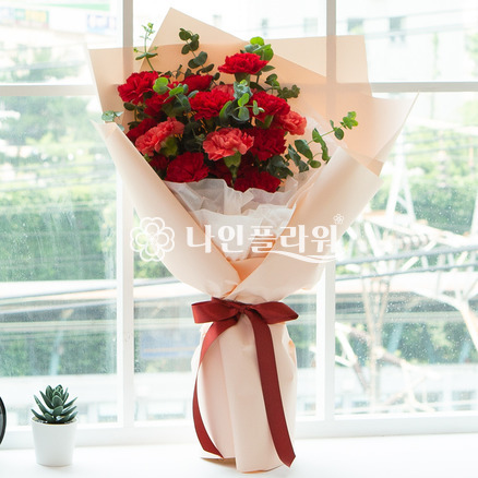 카네이션[혼합]