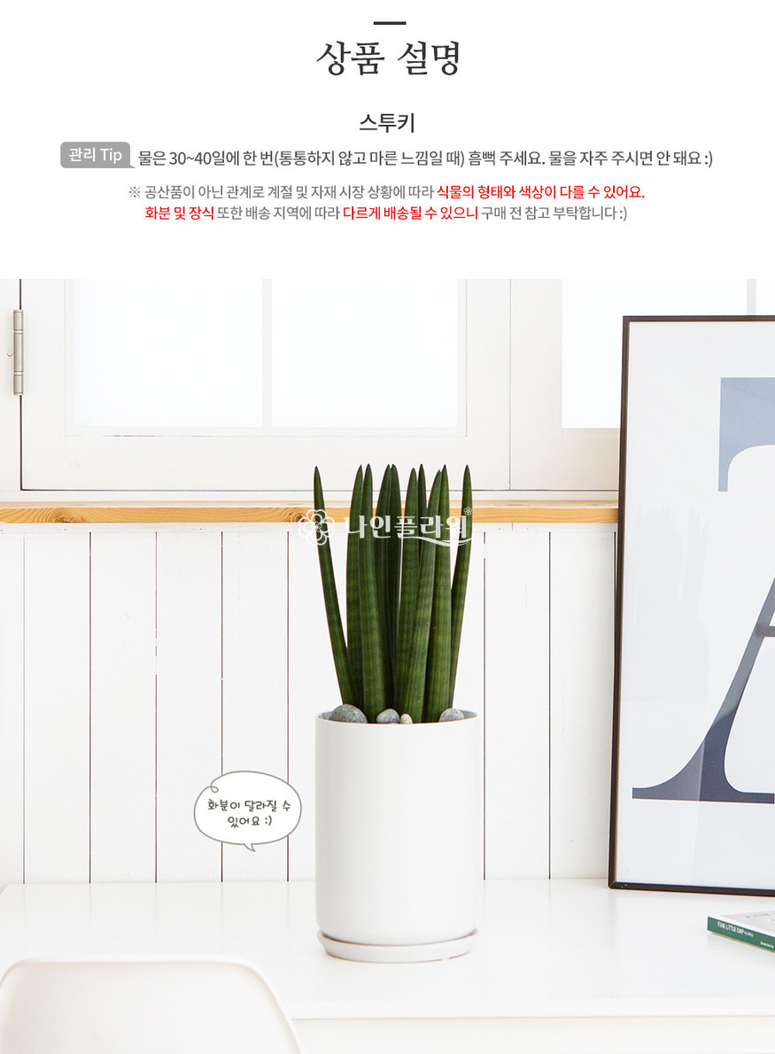 상세이미지