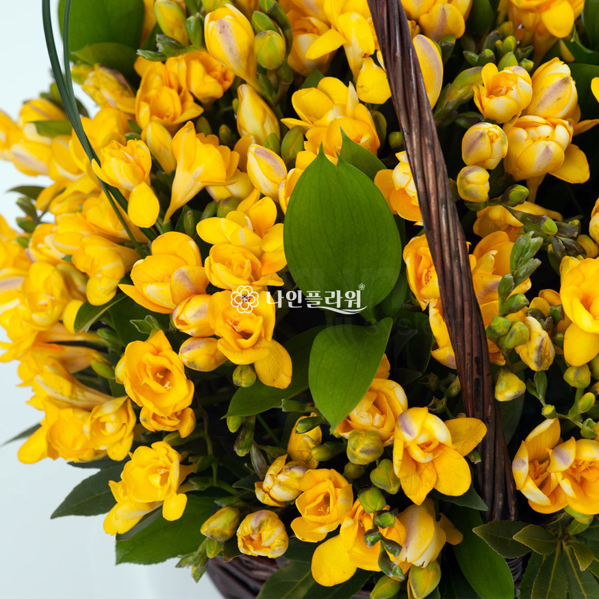 상세이미지