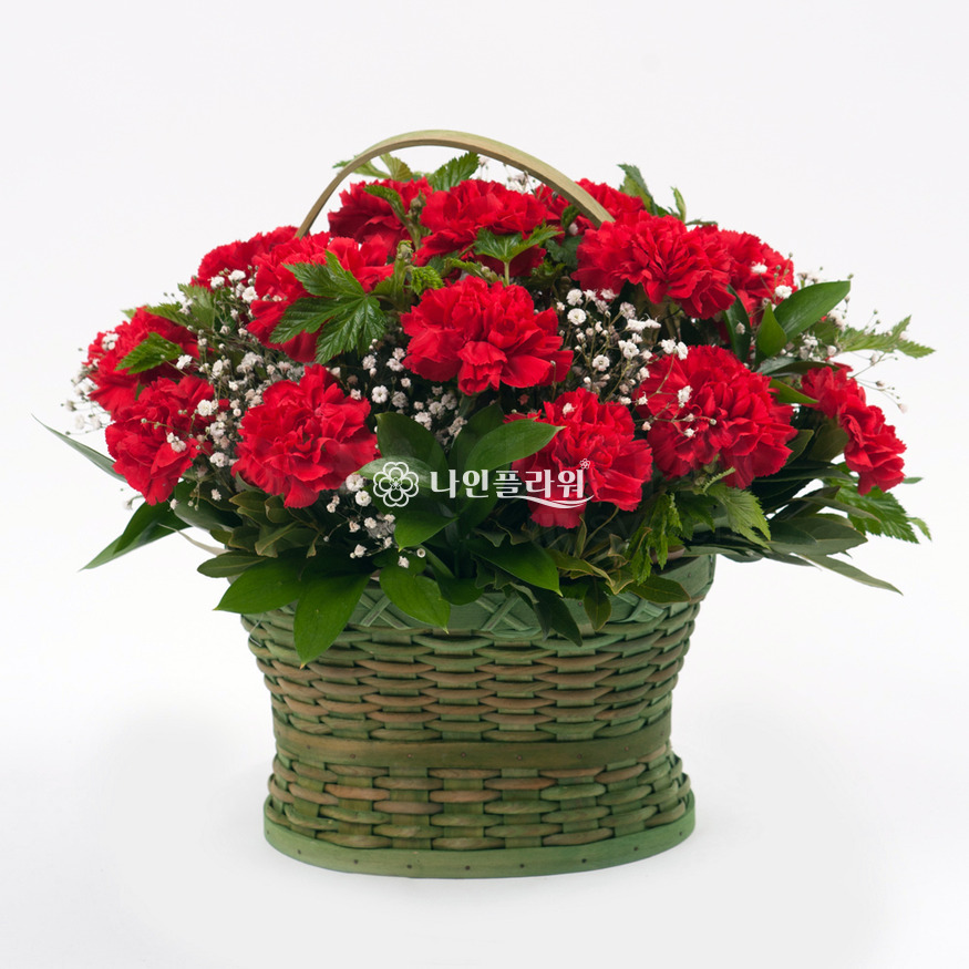 상세이미지