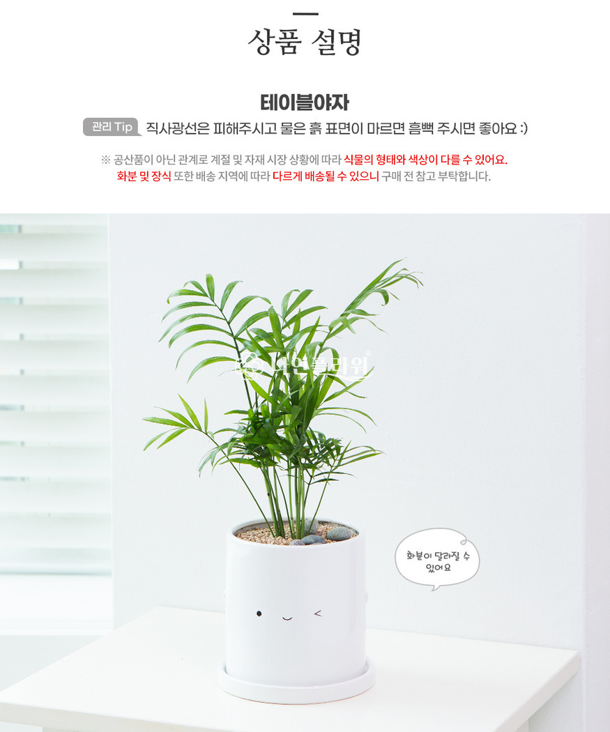 상세이미지