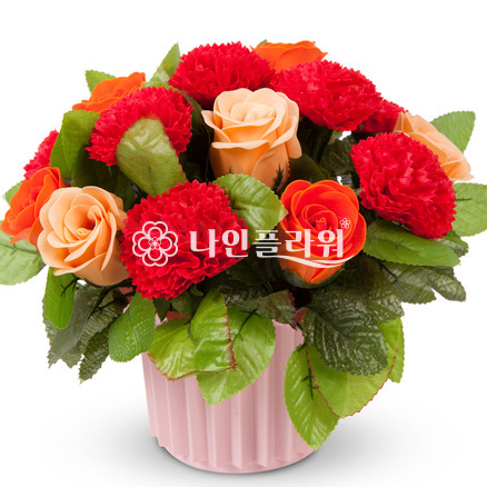 비누꽃(소)