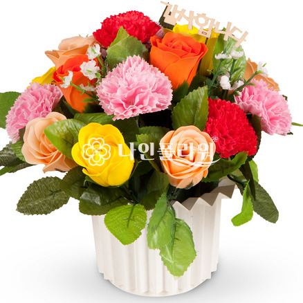비누꽃(소)