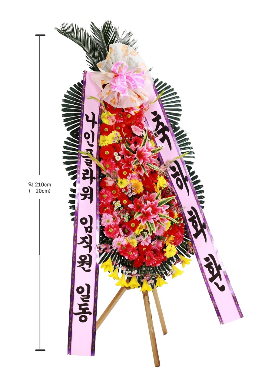 상세이미지