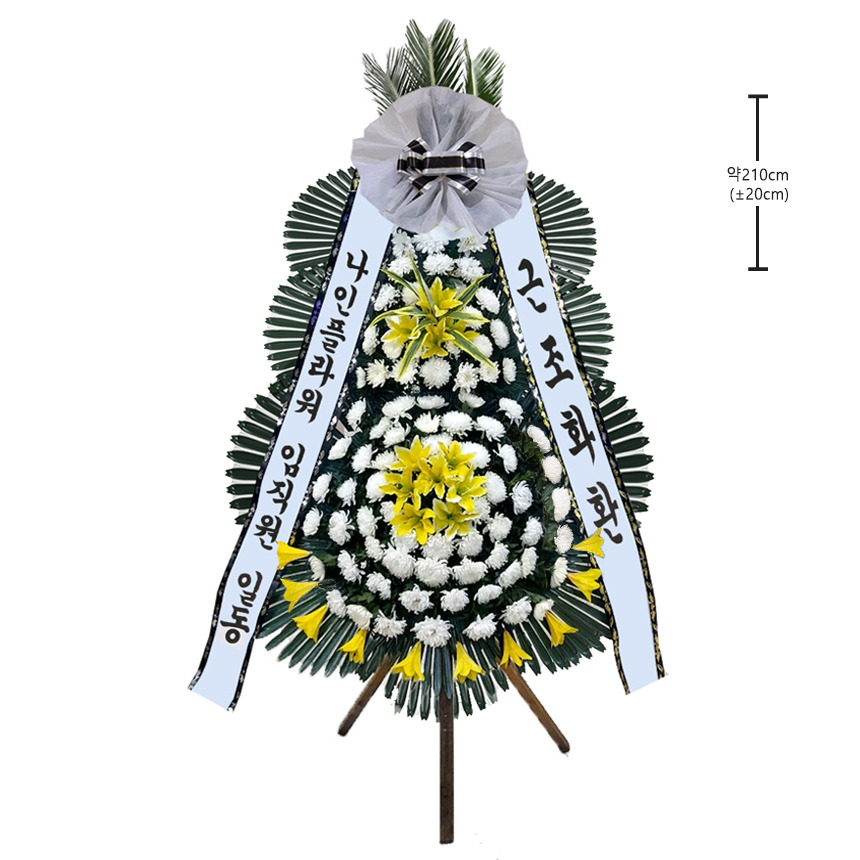 상세이미지