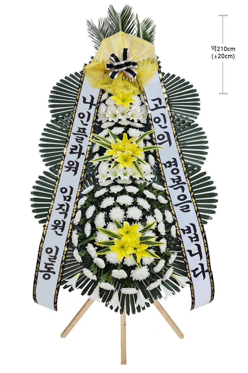 상세이미지