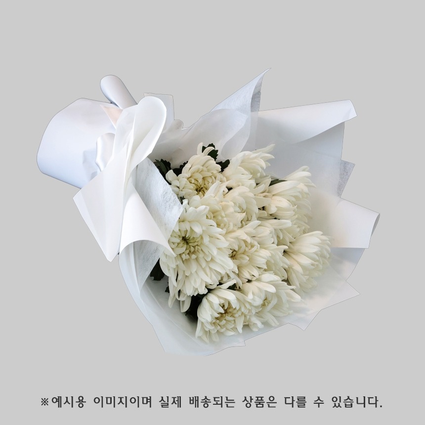 상세이미지