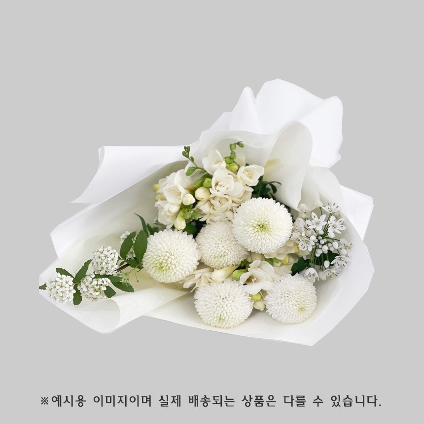 상세이미지