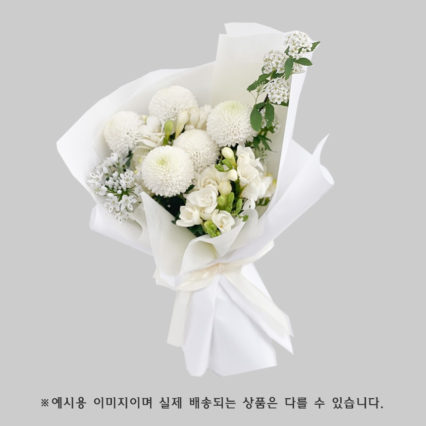 상세이미지