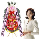 축하3단[일반형]