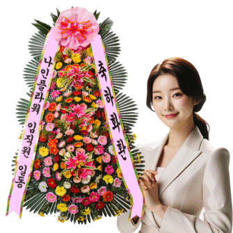 축하[특4단]