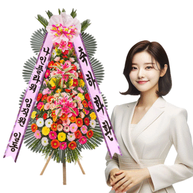 축하3단[최고급]