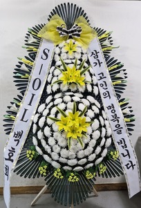 조우*(사위) 님 앞으로 배송된 상품입니다.
