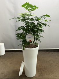 오지* 님 앞으로 배송된 상품입니다.